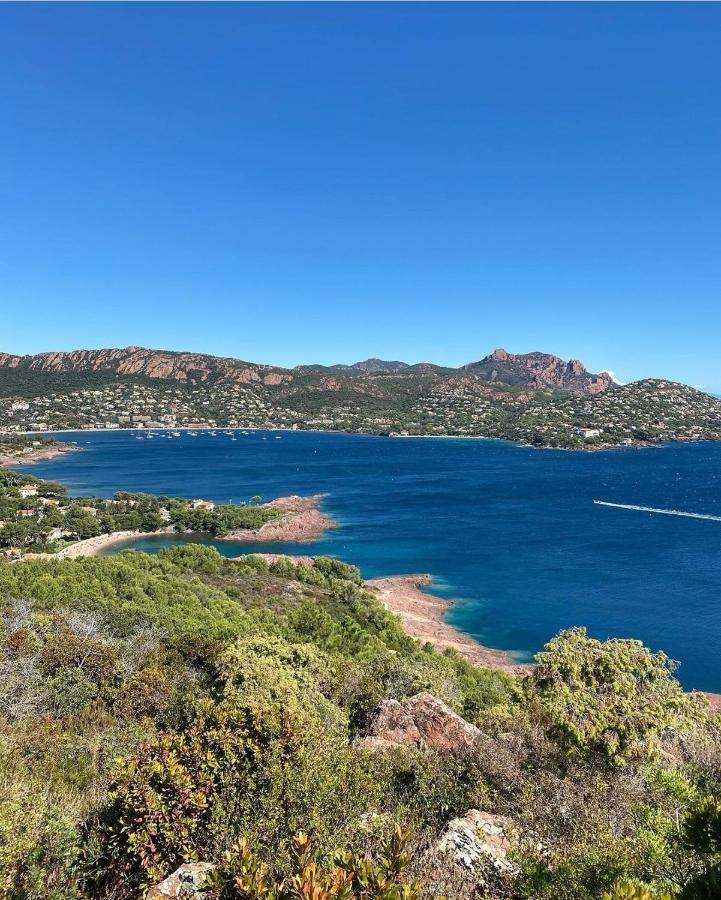 Cannes - Appartement Cosy Et Lumineux Exteriér fotografie